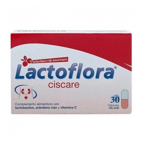 Lactoflora ciscare (30 capsulas)